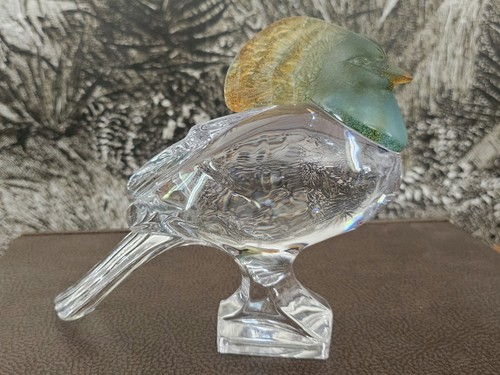Pollice francia pigeon goura - pollice,