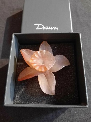 Daum fiore flower narciso - daum,