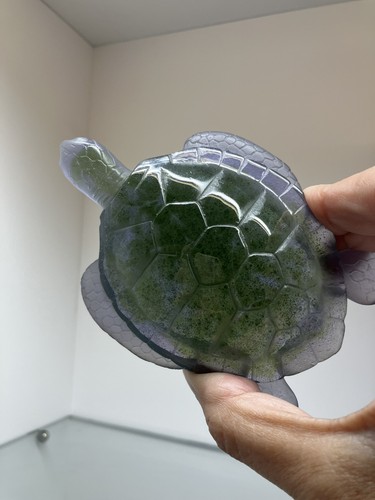 Daum france tortuga - france,
