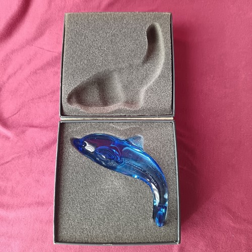 Delfino blu cristallo - blu,