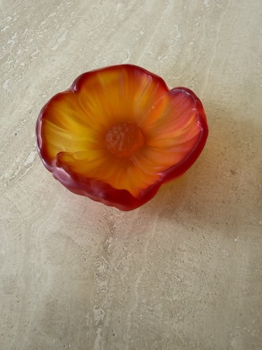 Fiore cactus daum pate - fiore, di