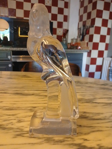 Daum perroquet oiseau autre - perroquet,